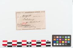 Etiketten zu Bronzearmreif (NHMW-PRAE-024950)